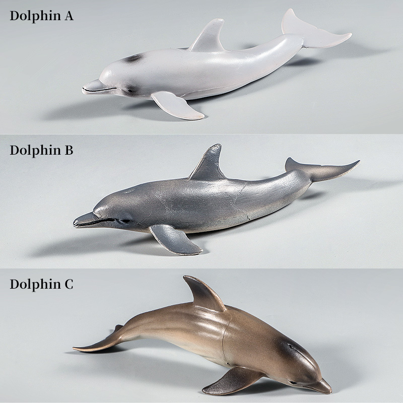 Kids Without Education - Ocean Marine Animal Underwater World Dolphin