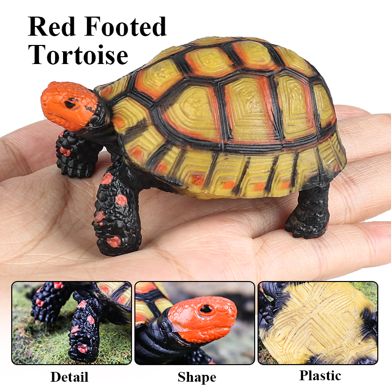 Oenux Reptile Animals Star Tur - Kids Without Education ulasan dan harga