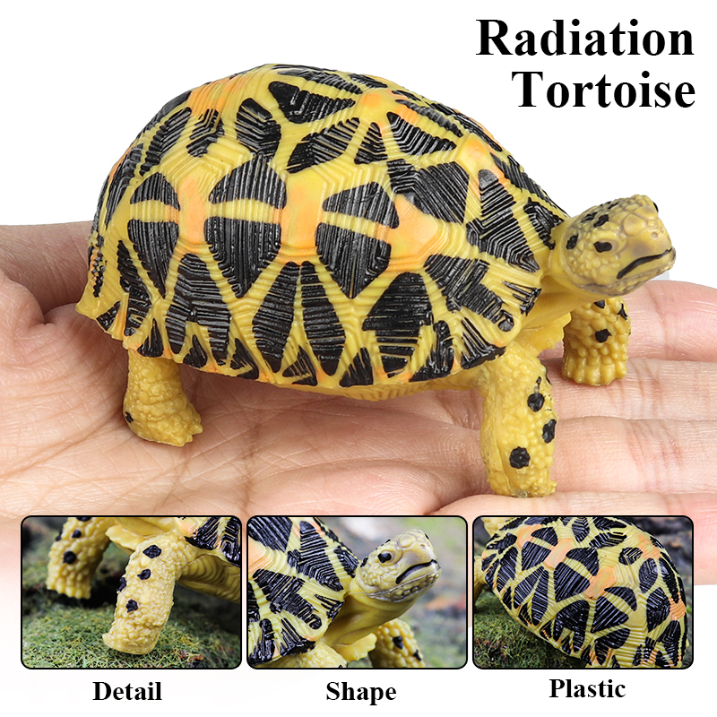 Oenux Reptile Animals Star Tur - Kids Without Education ulasan dan harga