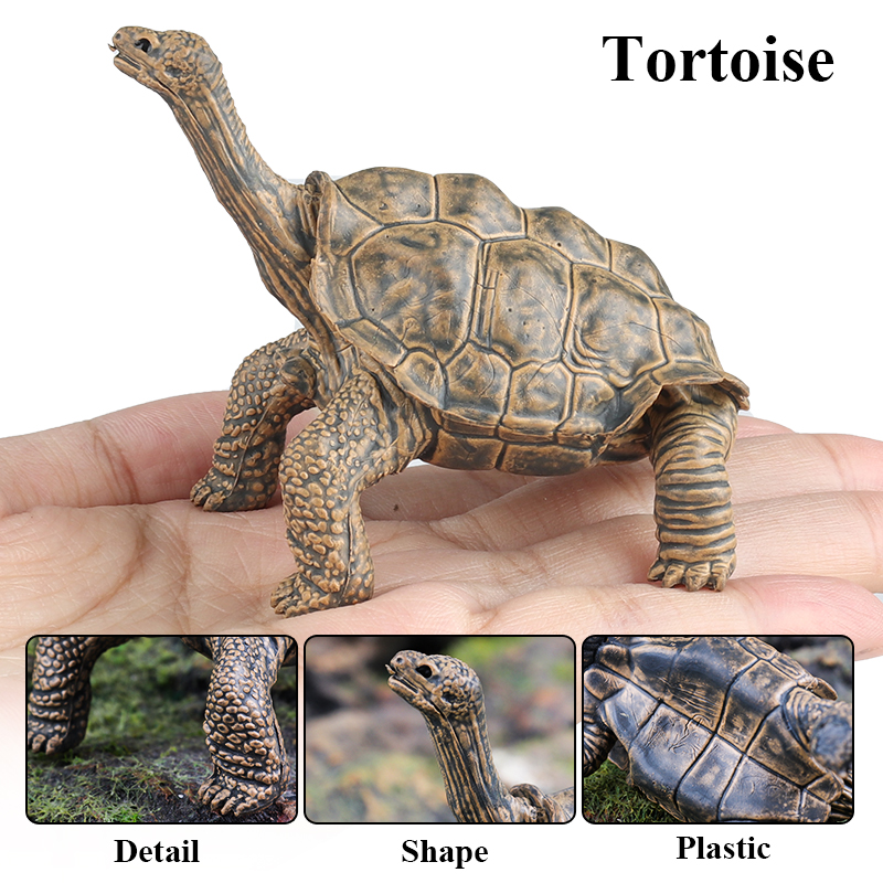 Oenux Reptile Animals Star Tur - Kids Without Education ulasan dan harga