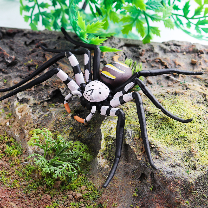 Oenux Insect Animals Model Spi - Kids Without Education ulasan dan harga