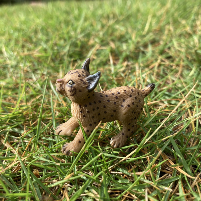 Realistic Animal Toy Model Min - Kids First Education ulasan dan harga