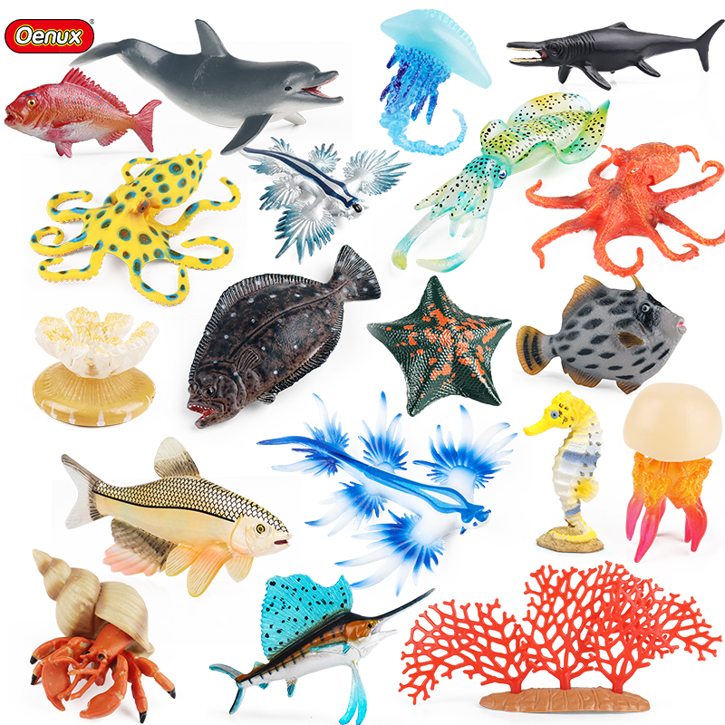 Oenux Sea Life Animals Coral O - Kids Without Education ulasan dan harga