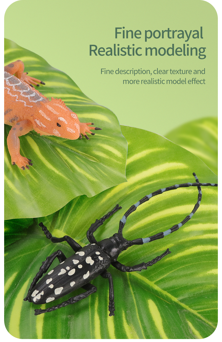 Educational Simulation Insect  - Kids First Education ulasan dan harga
