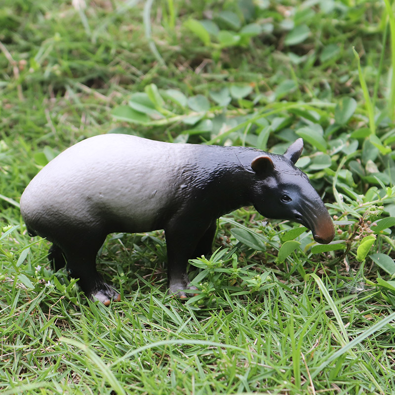 Oenux Wild boar Tapirus Indicu - Kids Without Education ulasan dan harga